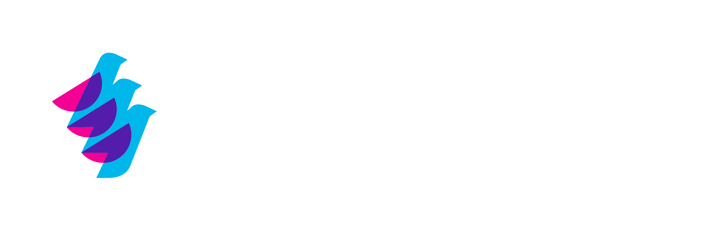 Echo Finch